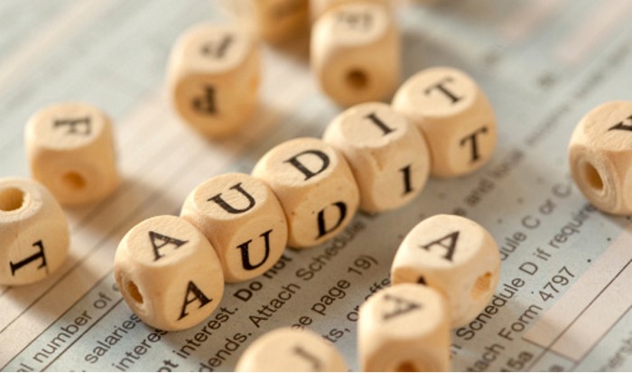 Auditing-services