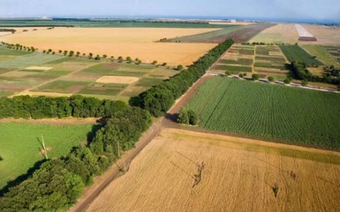 agricultural_land
