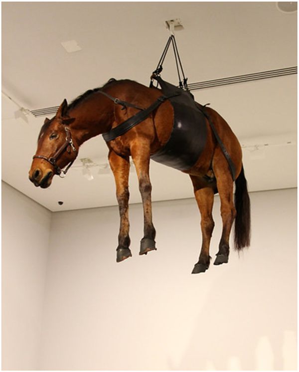 A-banana-and-a-horse-and-a-cat-and-cattelan_03