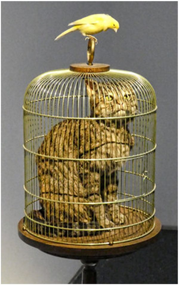 A-banana-and-a-horse-and-a-cat-and-cattelan_07